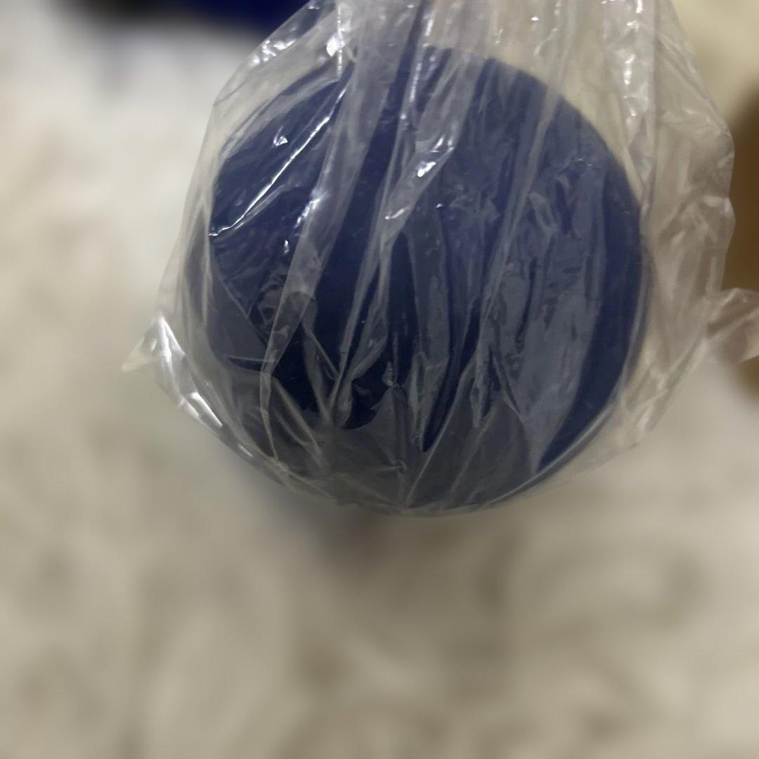 【未使用品】フィットネスクラブ スタイリーボール SLB-100 青