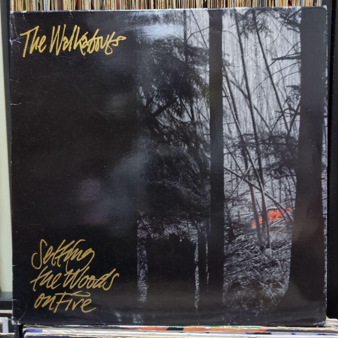 洋楽 The Walkabouts/Setting the Woods on Fire