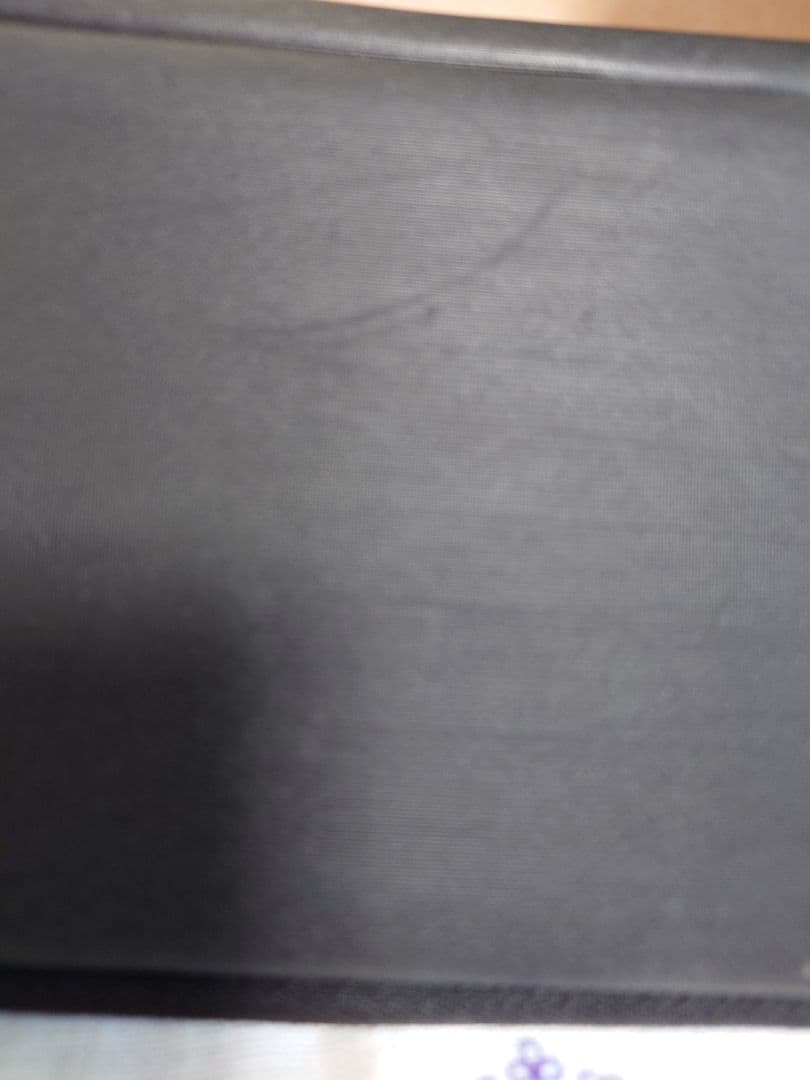 Nintendo Switch Lite ポケモン