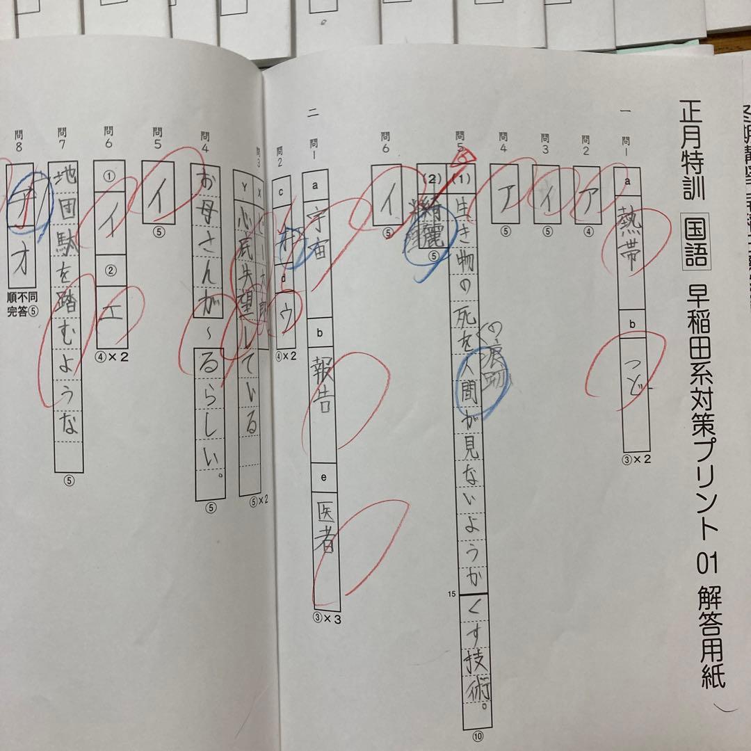 2024　SAPIX SS/冬期講習/正月特訓 早稲田系対策プリント 24回分