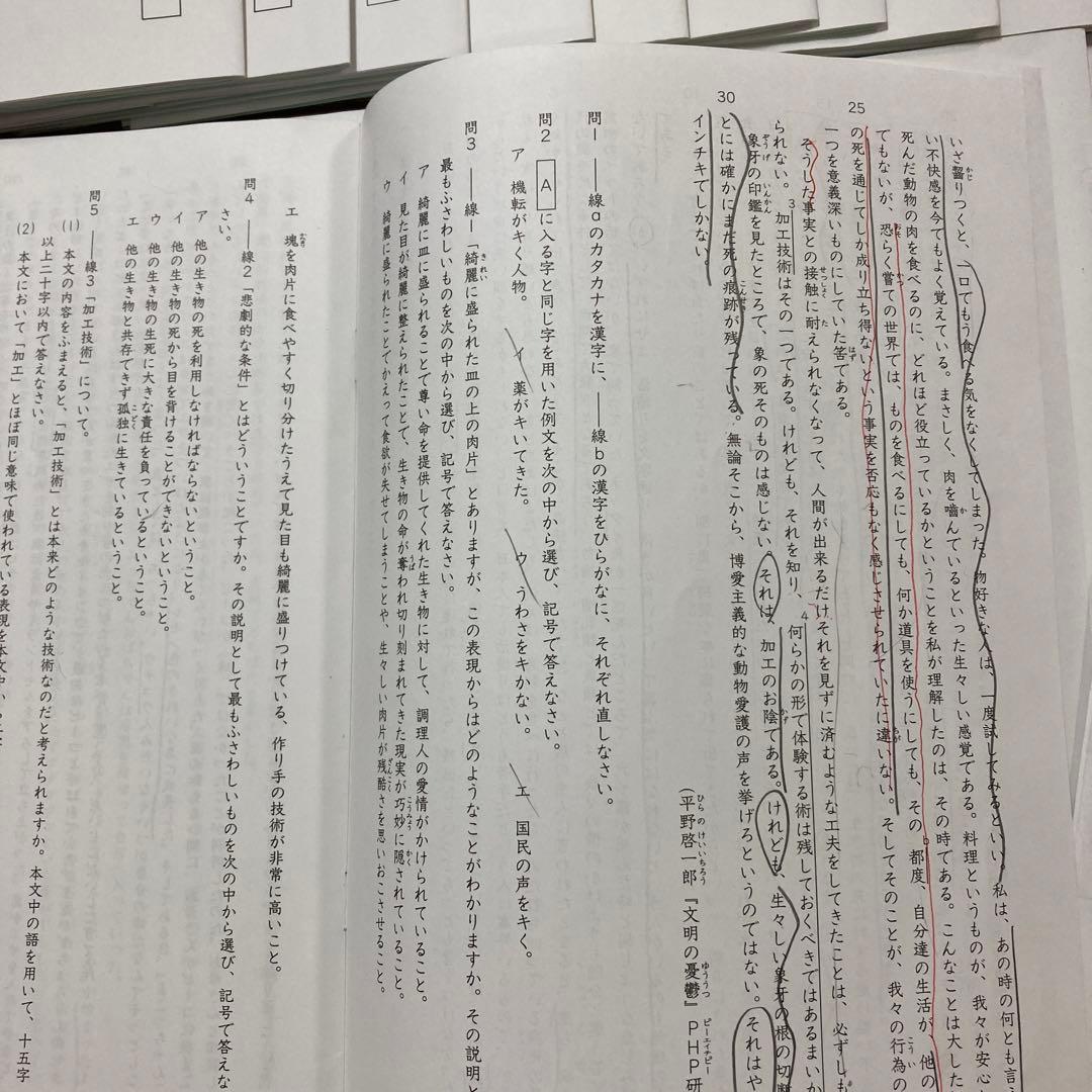 2024　SAPIX SS/冬期講習/正月特訓 早稲田系対策プリント 24回分