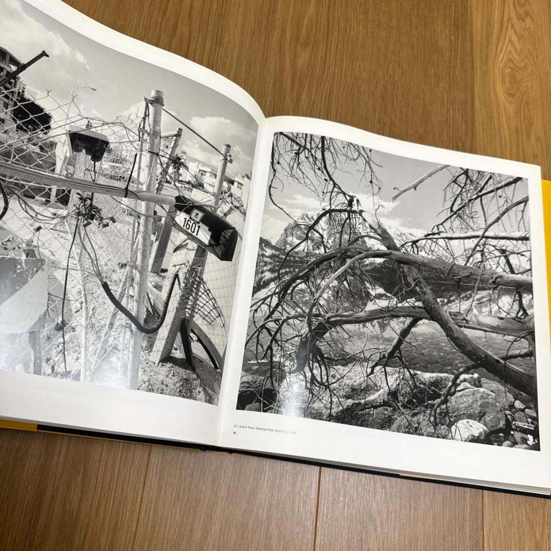 【絶版写真集・2005年MoMA】Friedlander リー・フリードランダー