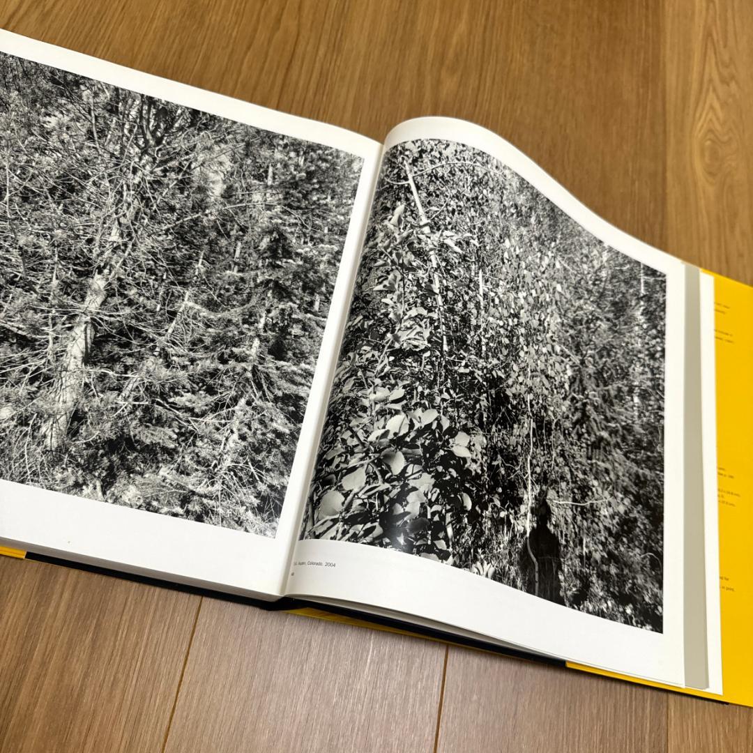 【絶版写真集・2005年MoMA】Friedlander リー・フリードランダー