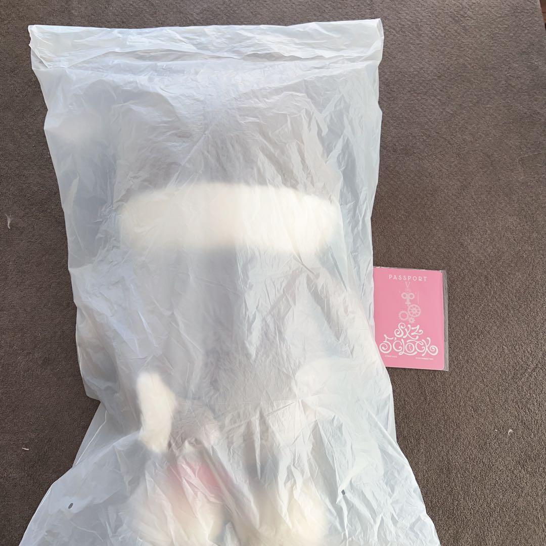 straykids スキズ テディベア SKZOO ウルフチャン　teddy