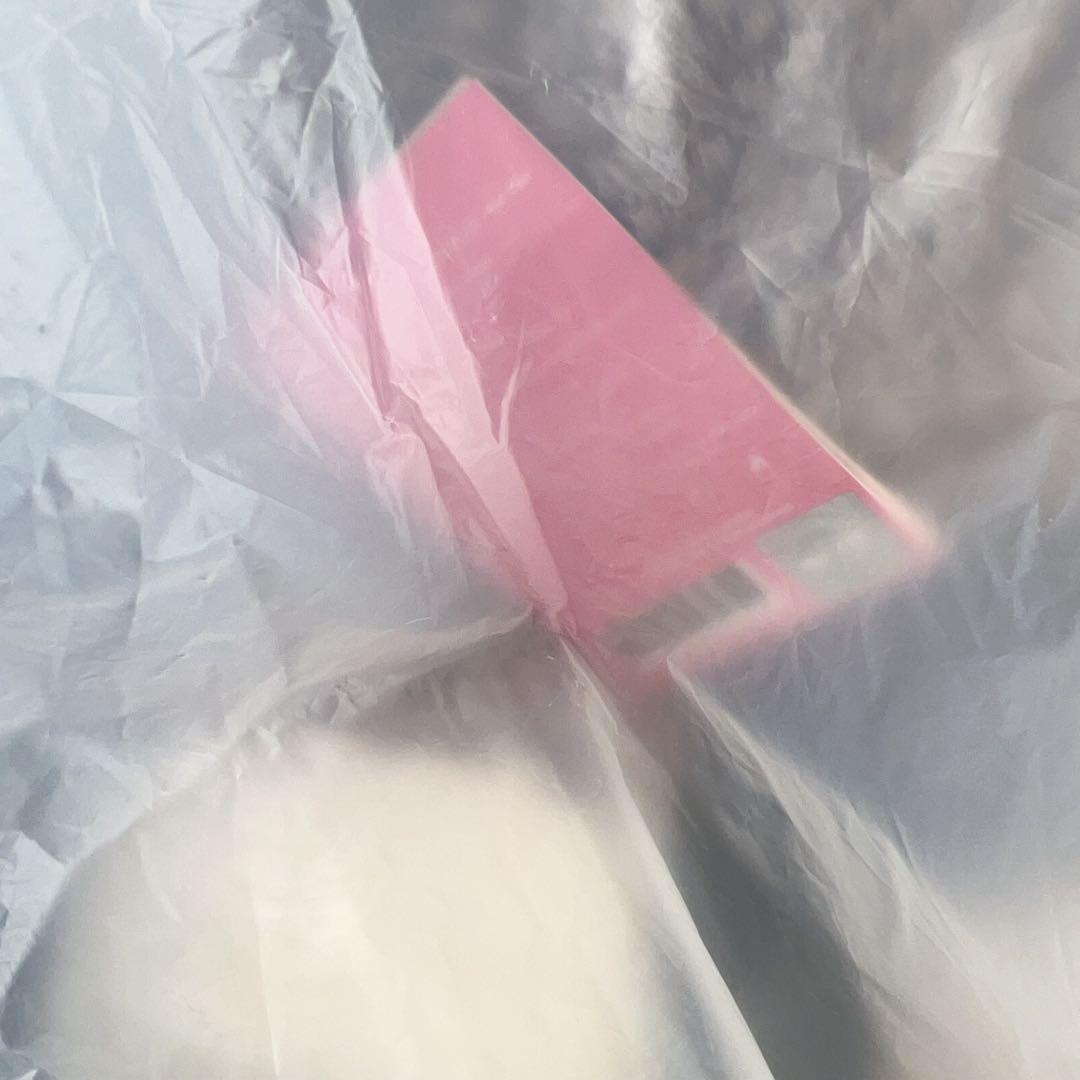 straykids スキズ テディベア SKZOO ウルフチャン　teddy