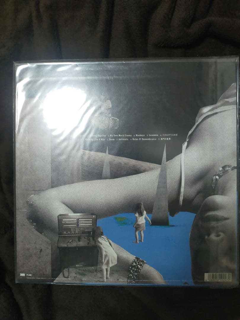 the hiatus レコード