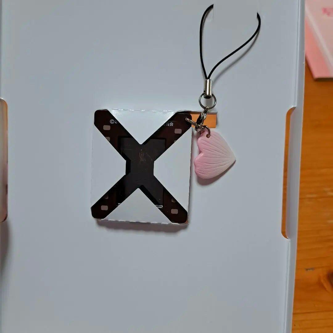 君に届け プレミアム・エディション('10日本テレビ放送網/集英社/東宝/読売…