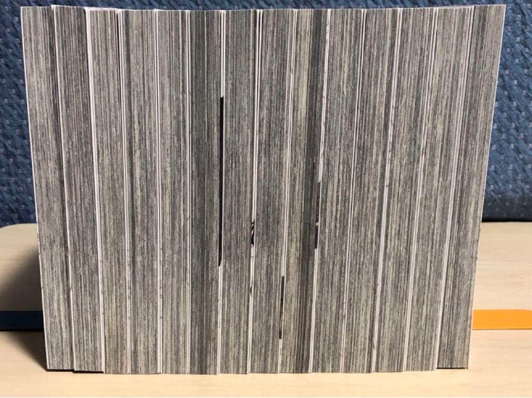 グレイプニル 全14巻完結セット 武田 すん / 著