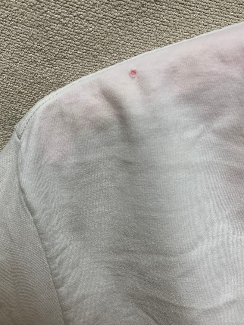 STUSSYオールドステューシー スカル ウィング　Lサイズ