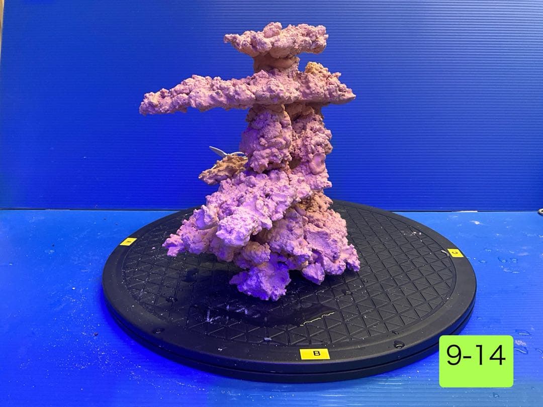 人工ライブロック　No.9-14 9-12 まとめて2個購入