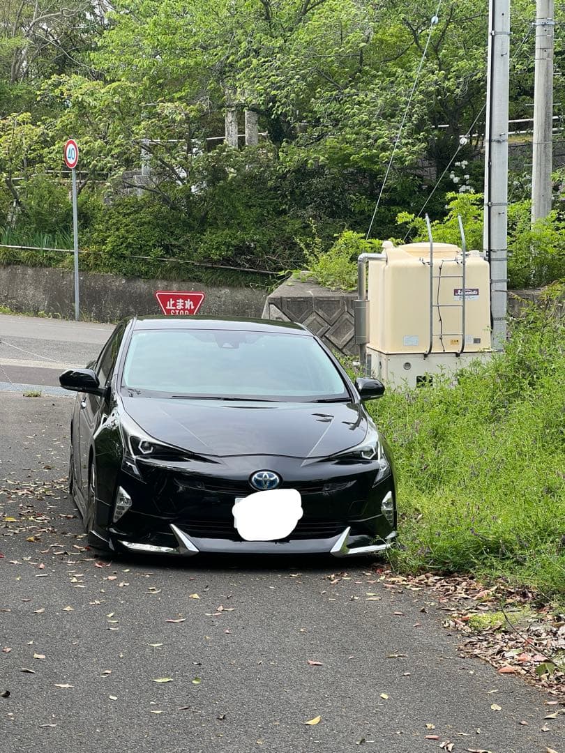 50プリウス 六角イカリング