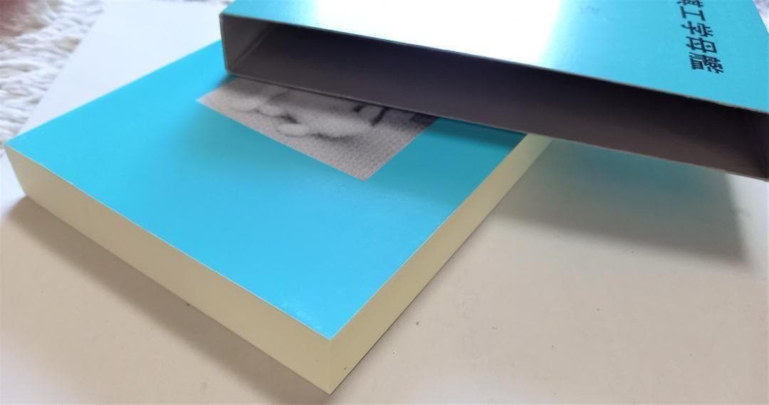 「詰将棋工学母艦」信太 弘 1994年発行