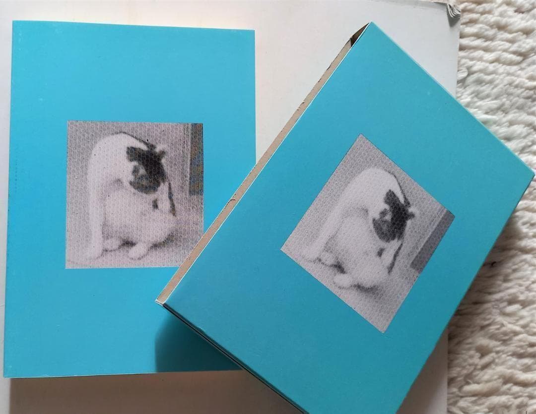 「詰将棋工学母艦」信太 弘 1994年発行