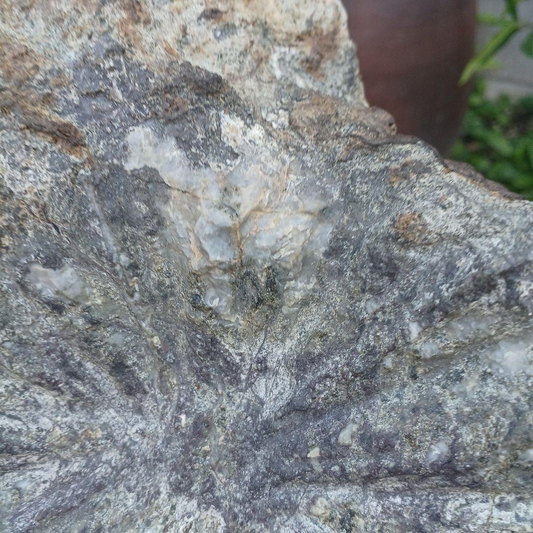 根尾谷産菊花石　　(銘) 神代菊　約12キロ