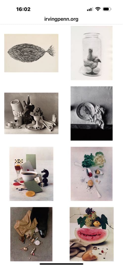 未開封「Still Life 」Irving Penn 出版イギリス2001年