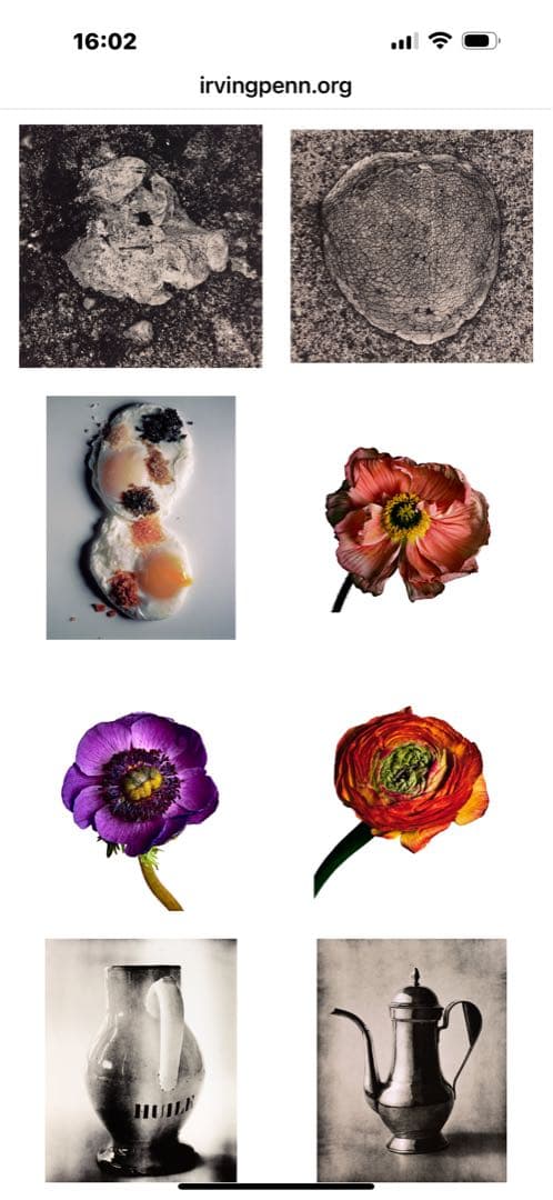 未開封「Still Life 」Irving Penn 出版イギリス2001年