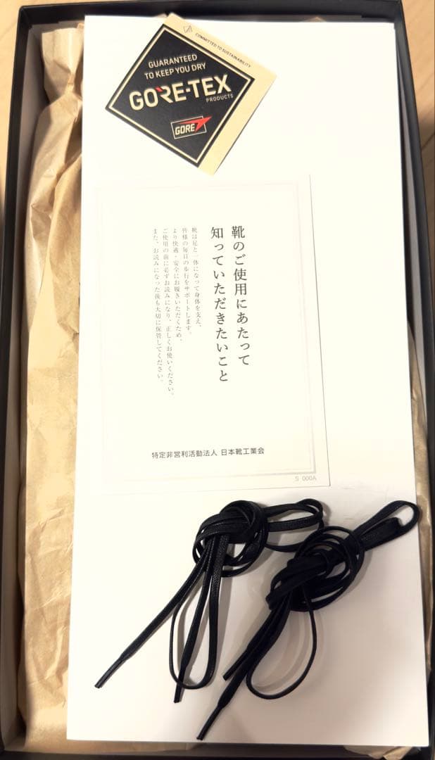 愚*歩様 REGAL Shoe & Co. U-Tip GORE-TEX GTX