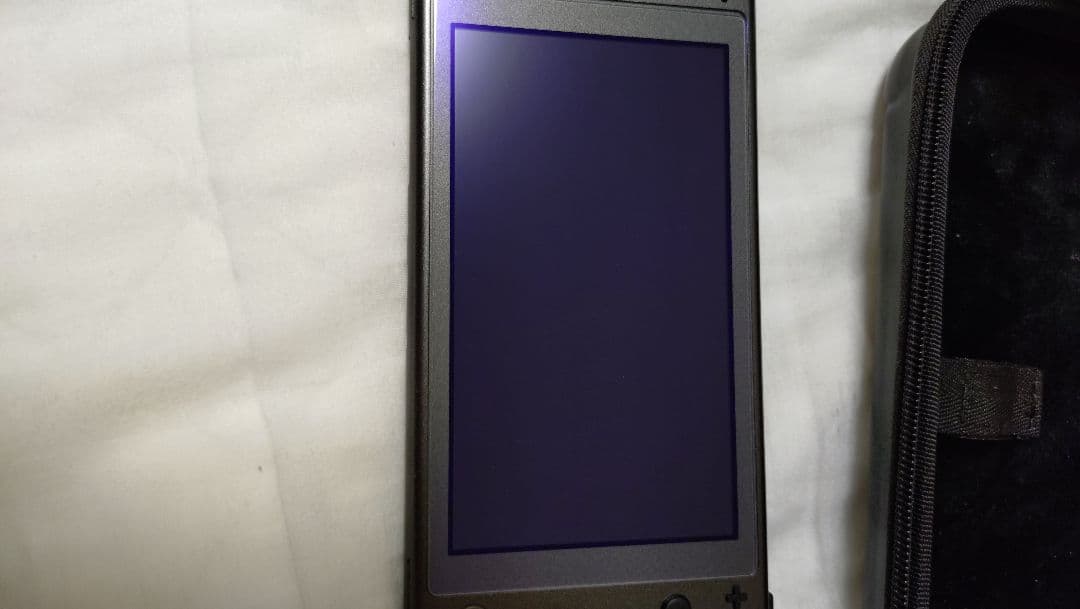 Nintendo Switch Lite ディアルガ パルキア 本体 箱付き