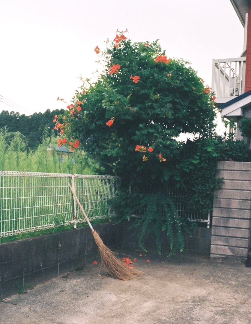 Rollei 35 コンパクトフィルムカメラ ドイツ製