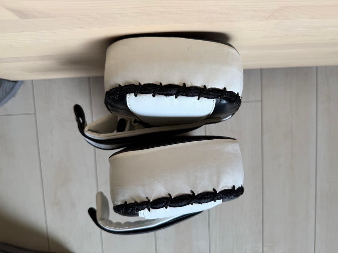 【いぬ】ISAMI キックミットTS FS-12（2個セット）