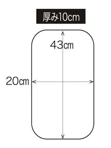 【いぬ】ISAMI キックミットTS FS-12（2個セット）
