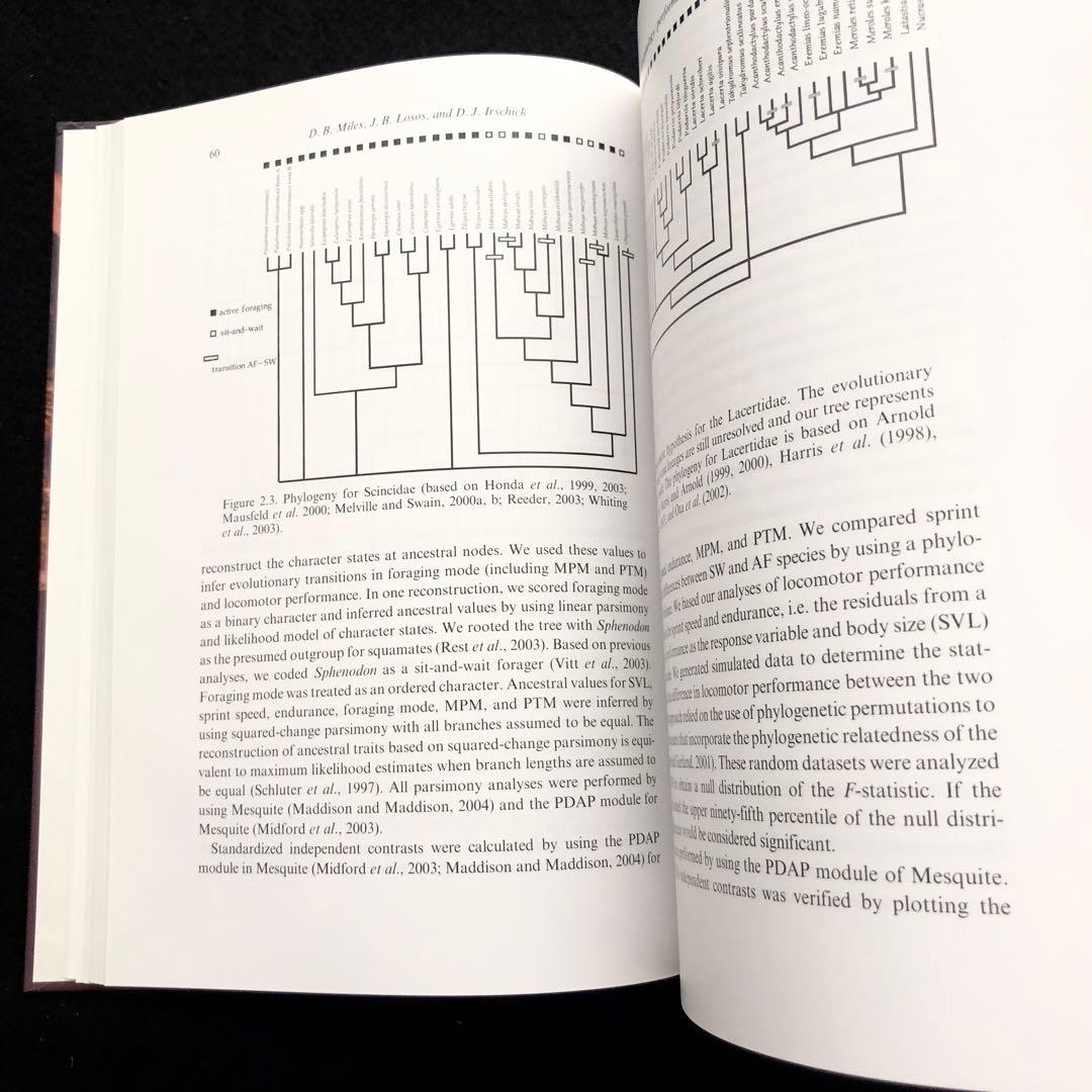 爬虫類 トカゲの生態学 参考書「Lizard Ecology」