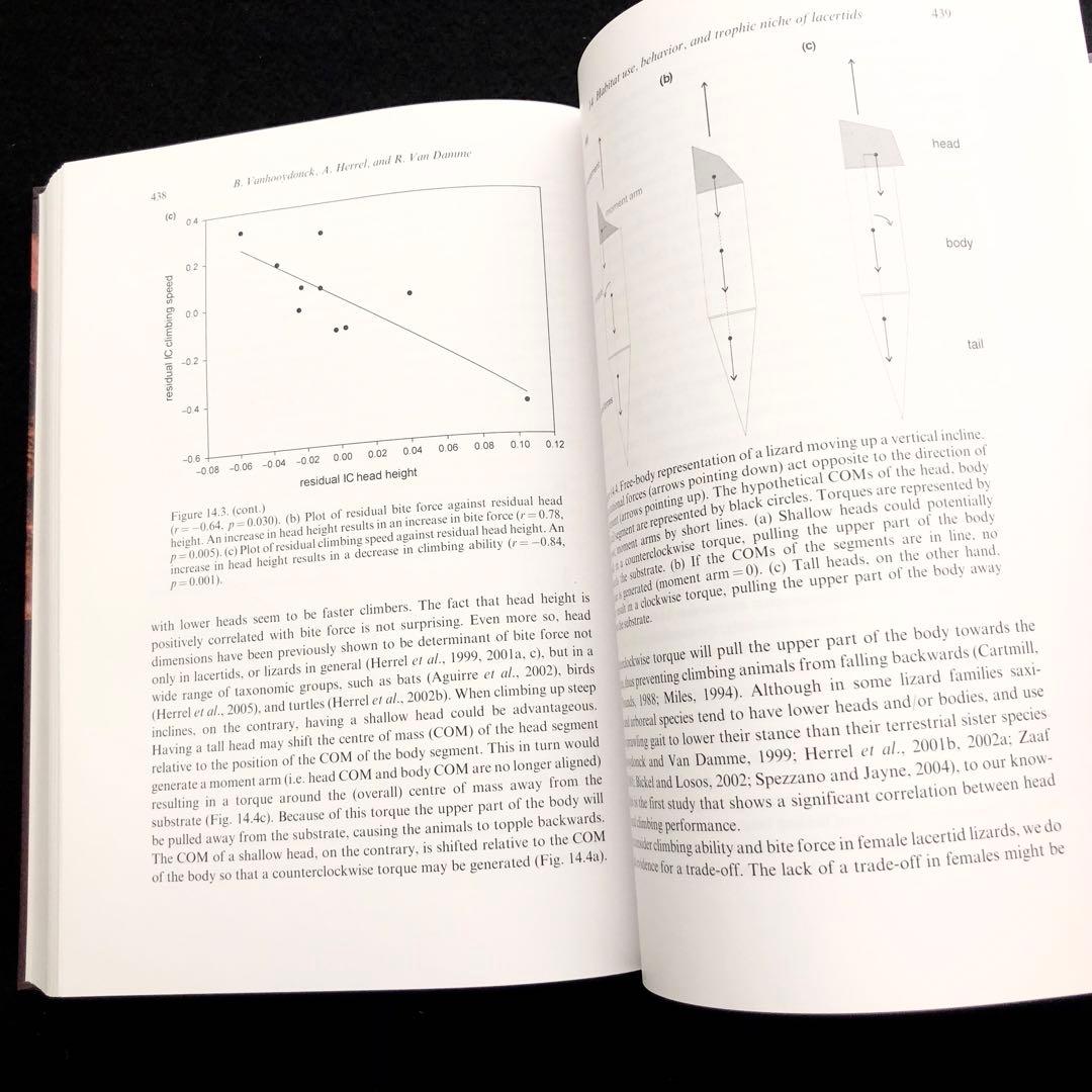 爬虫類 トカゲの生態学 参考書「Lizard Ecology」