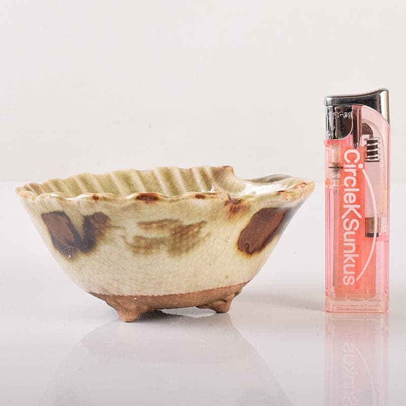 和食器　尾張　御深井焼焼　貝形向付　五客　時代箱付　M　R8097