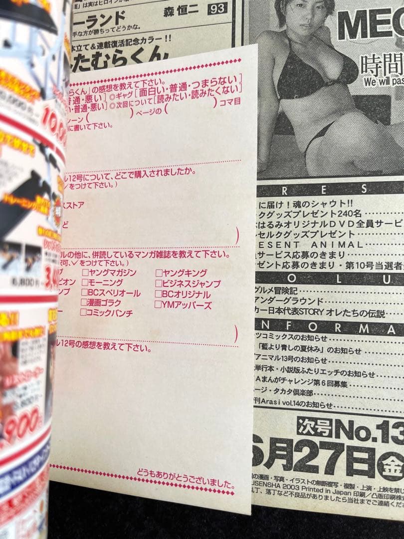 ●ヤングアニマル 2003年 No.12 巻頭カラー···ベルセルク 第222話