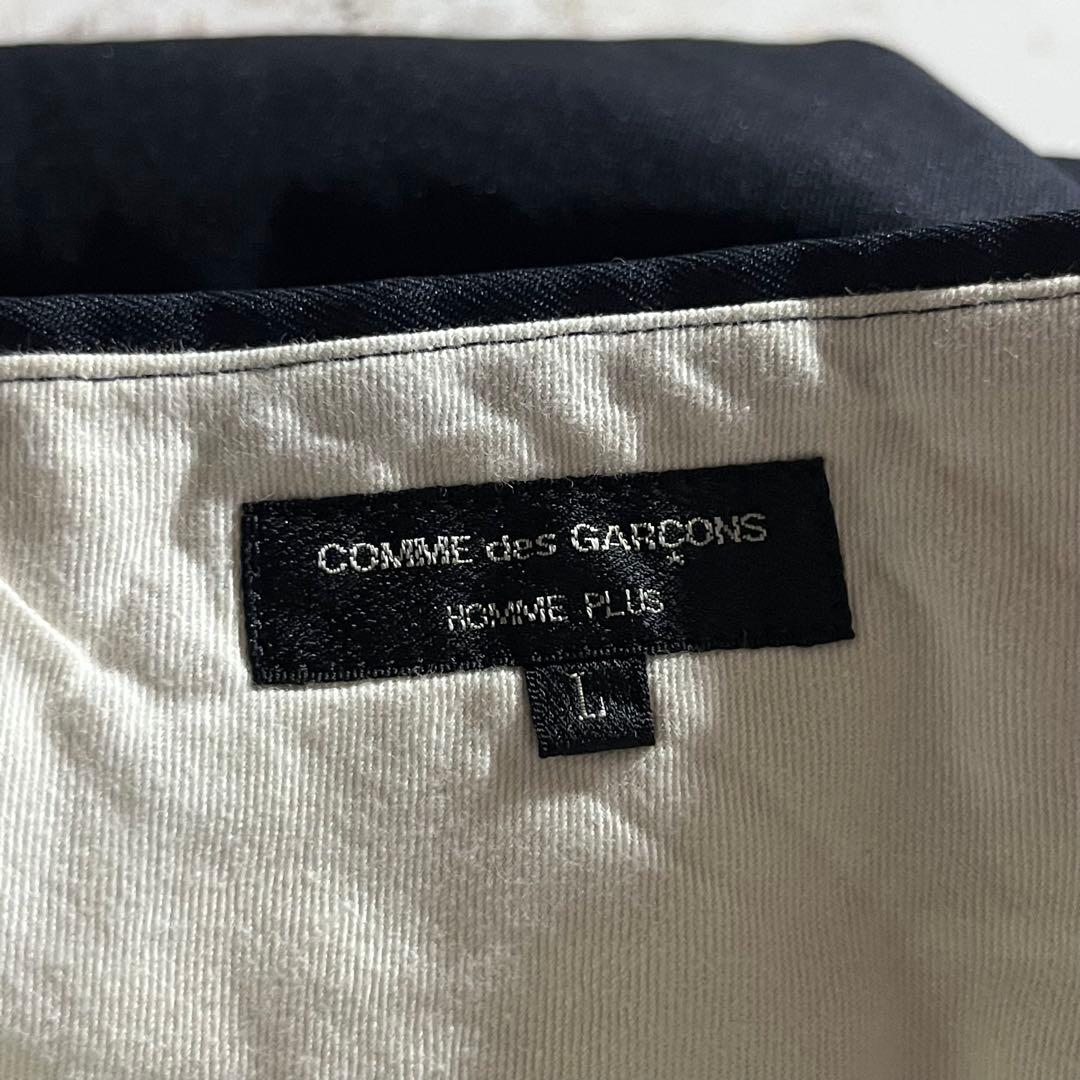 COMME des GARÇONS HOMME PLUS ポリ縮絨 スラックス