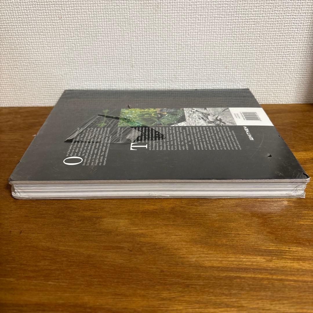 アート・デザイン・音楽 The American Effect 1990-2003 Whitney