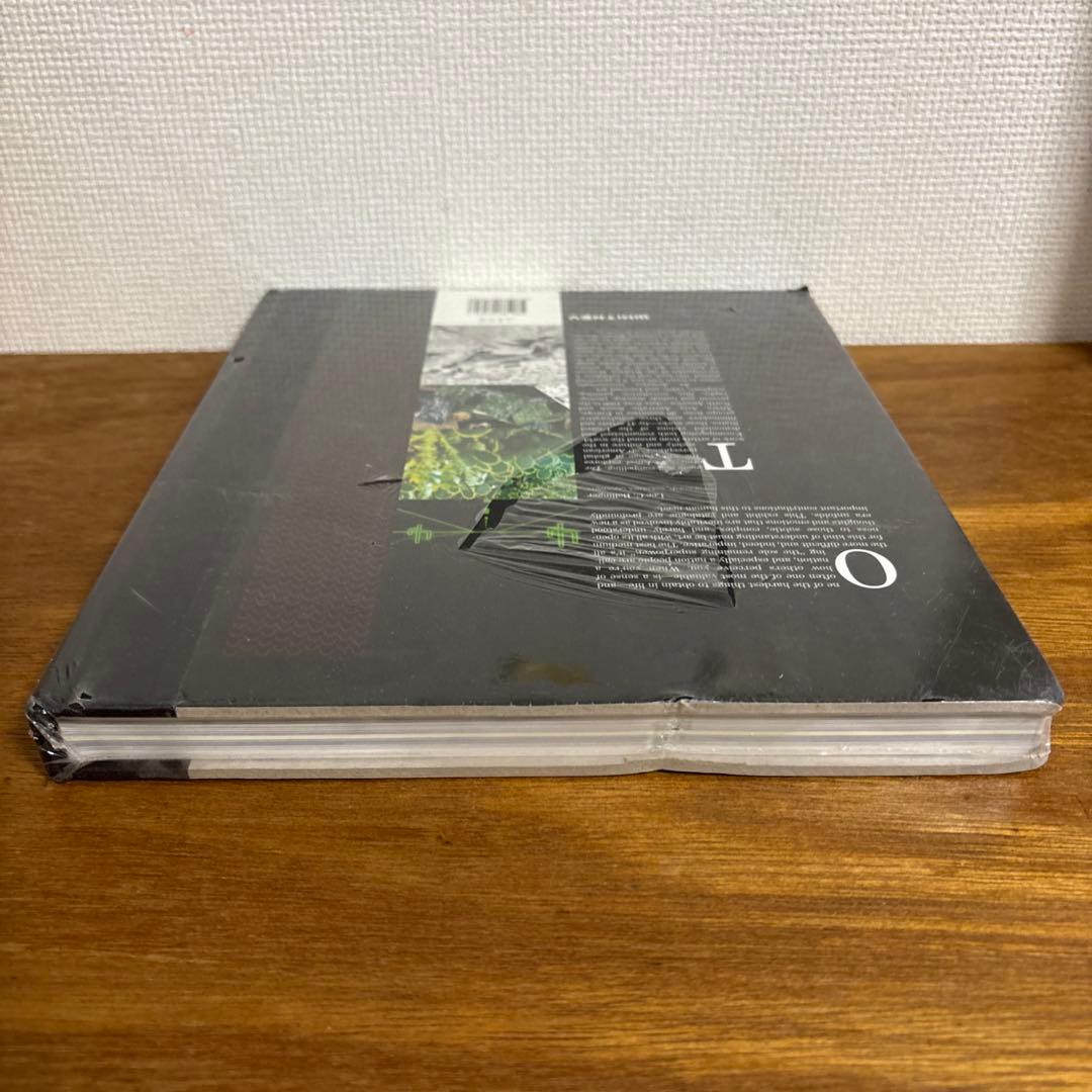 アート・デザイン・音楽 The American Effect 1990-2003 Whitney