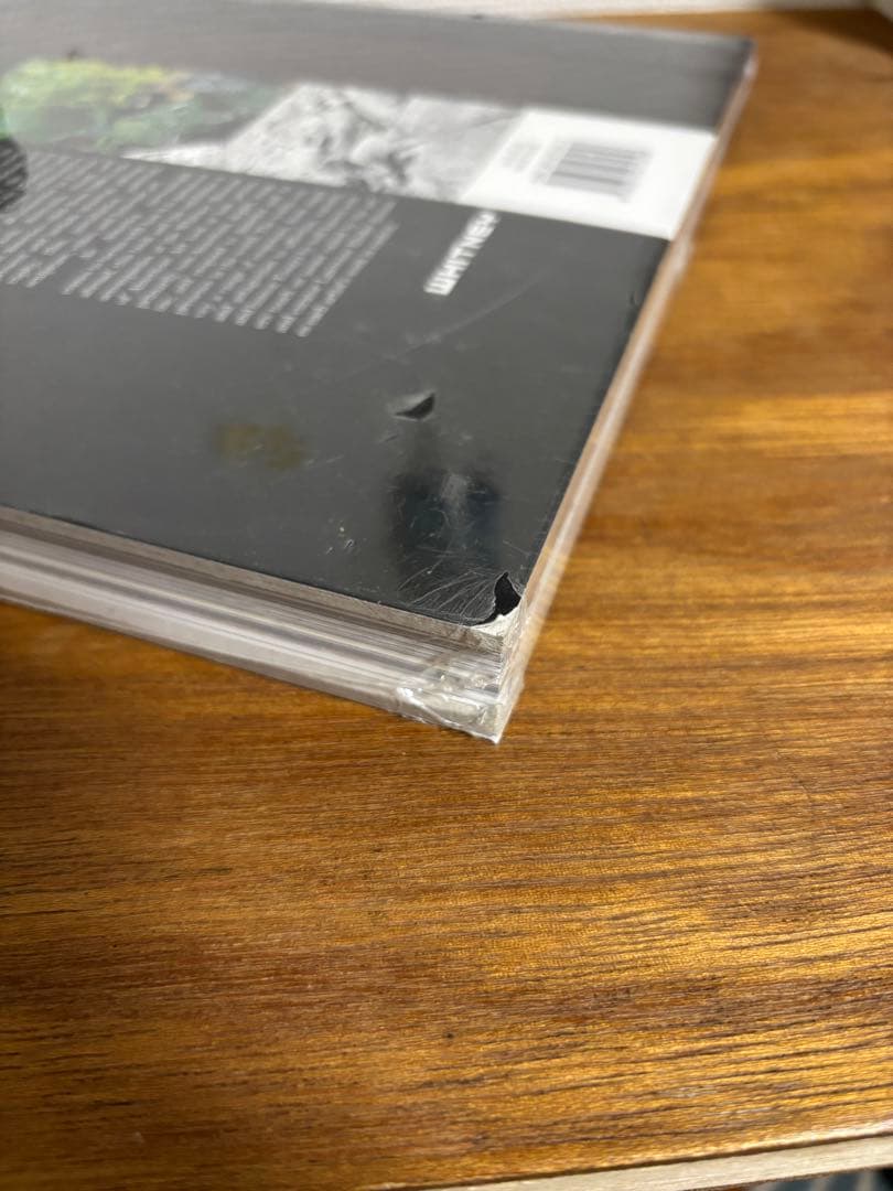 アート・デザイン・音楽 The American Effect 1990-2003 Whitney