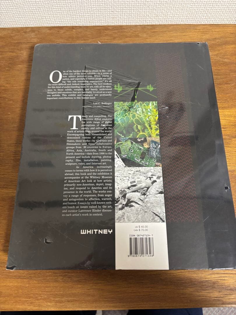 アート・デザイン・音楽 The American Effect 1990-2003 Whitney
