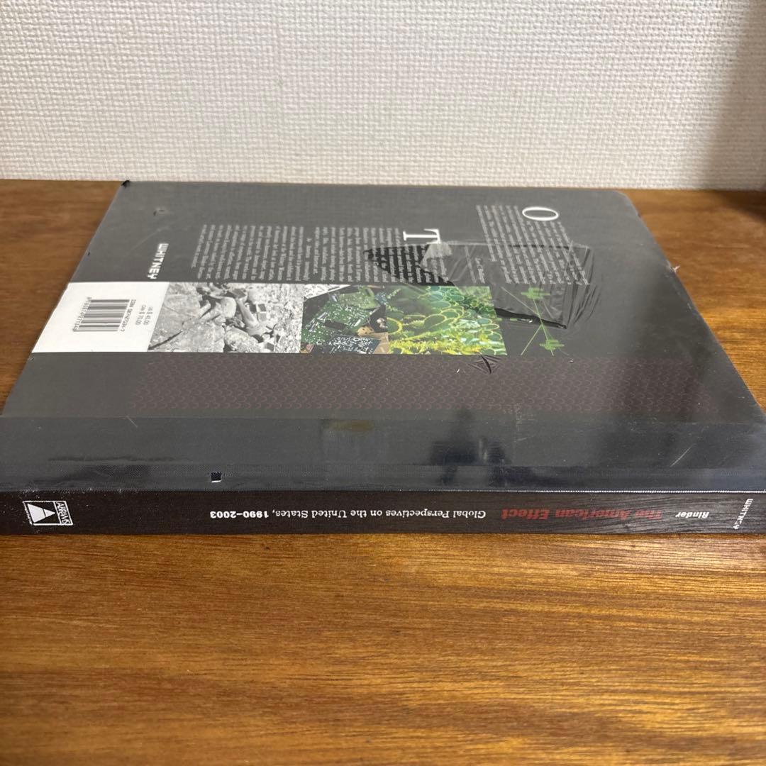 アート・デザイン・音楽 The American Effect 1990-2003 Whitney