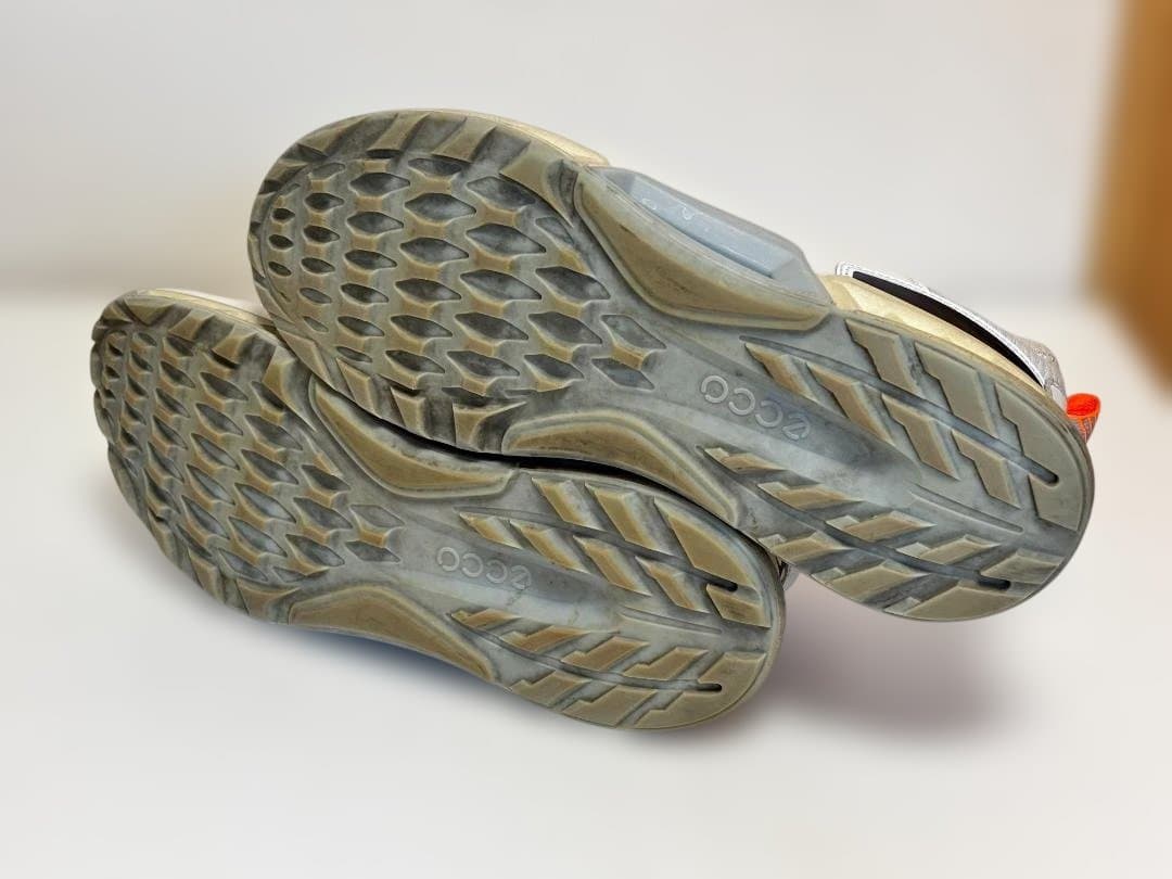 （みっちゃん専用）ecco BIOM C4 BOA GORE-TEX ×2