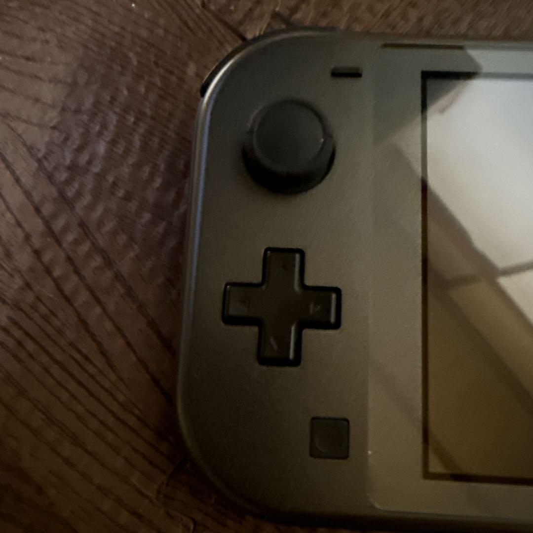 Nintendo Switch Lite ディアルガ　パルキア　本体