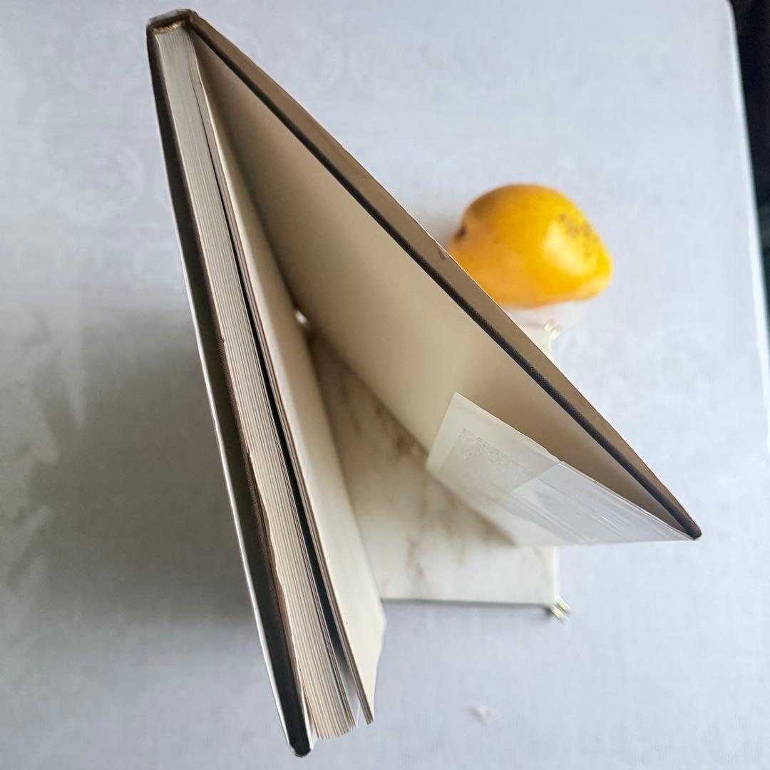 洋書ALTE MEISTERGEIGEN Band Venezianer