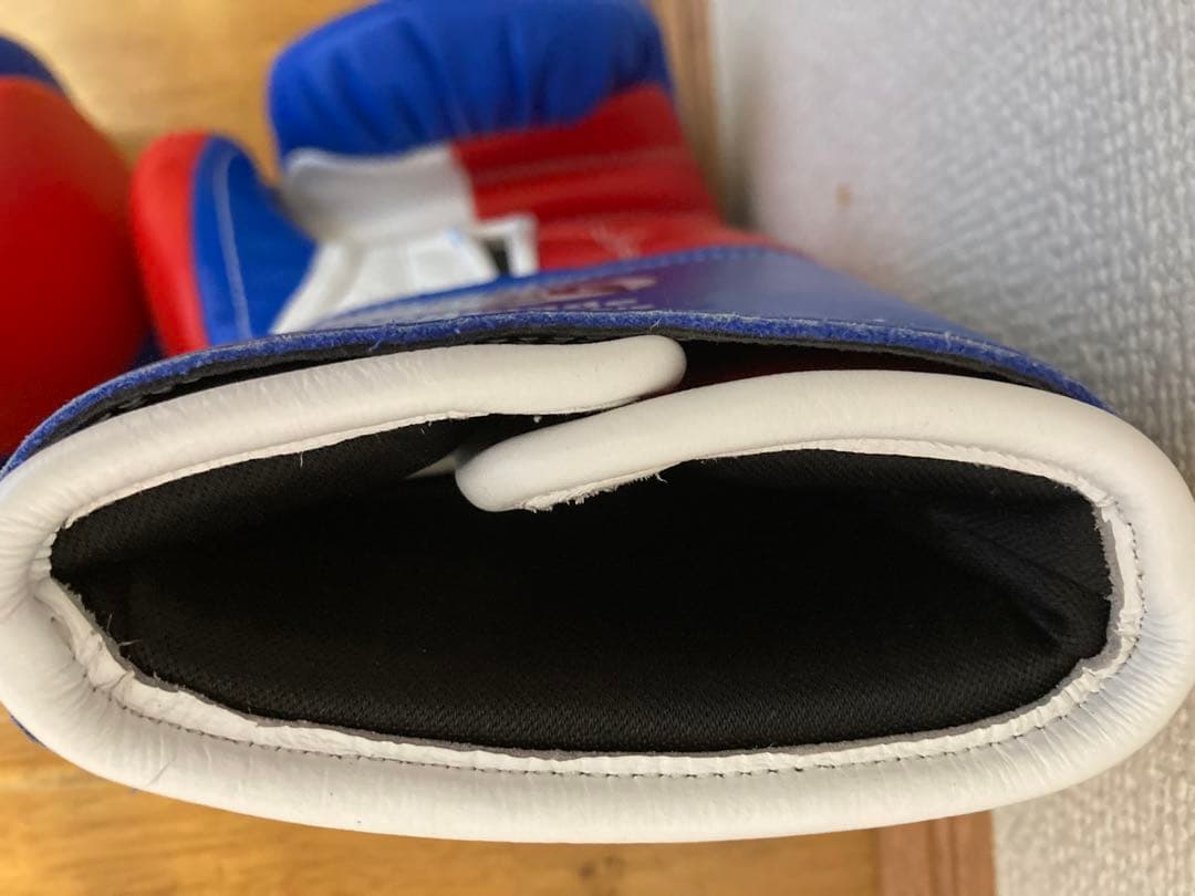 プライズリングボクシンググローブ12oz