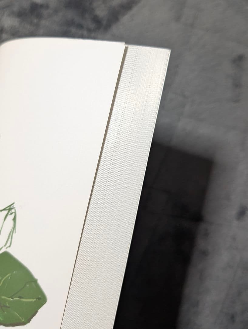 ☆MU☆ tkmiZII つくみずらくがき画集2 イラスト集 コミティア