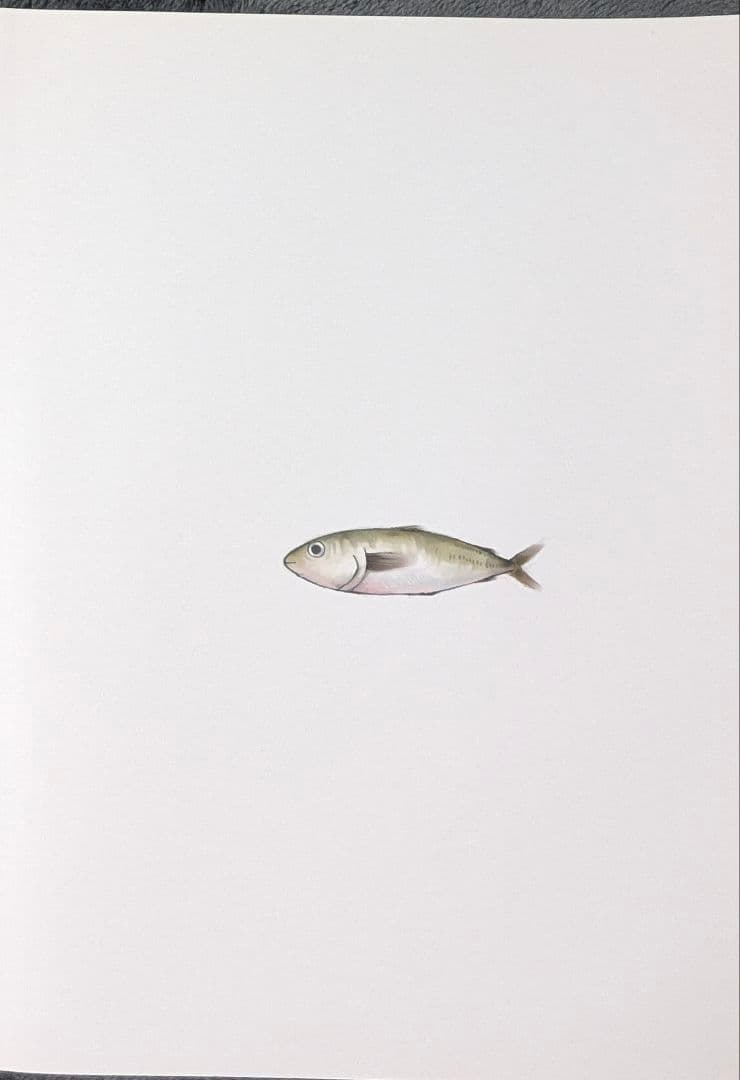 ☆MU☆ tkmiZII つくみずらくがき画集2 イラスト集 コミティア