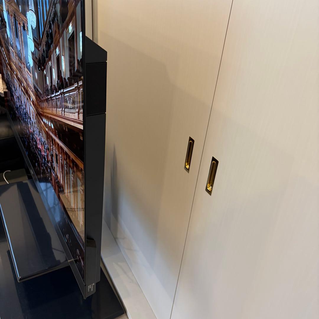 お*ら様 Panasonic 4k テレビ VIERA TH-55MZ2500