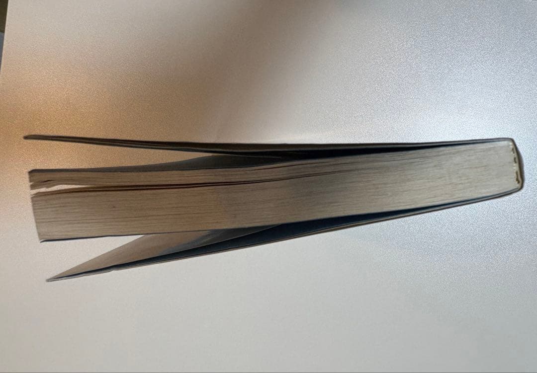 厳新気功学テキスト 厳新 前新 培金 李紅