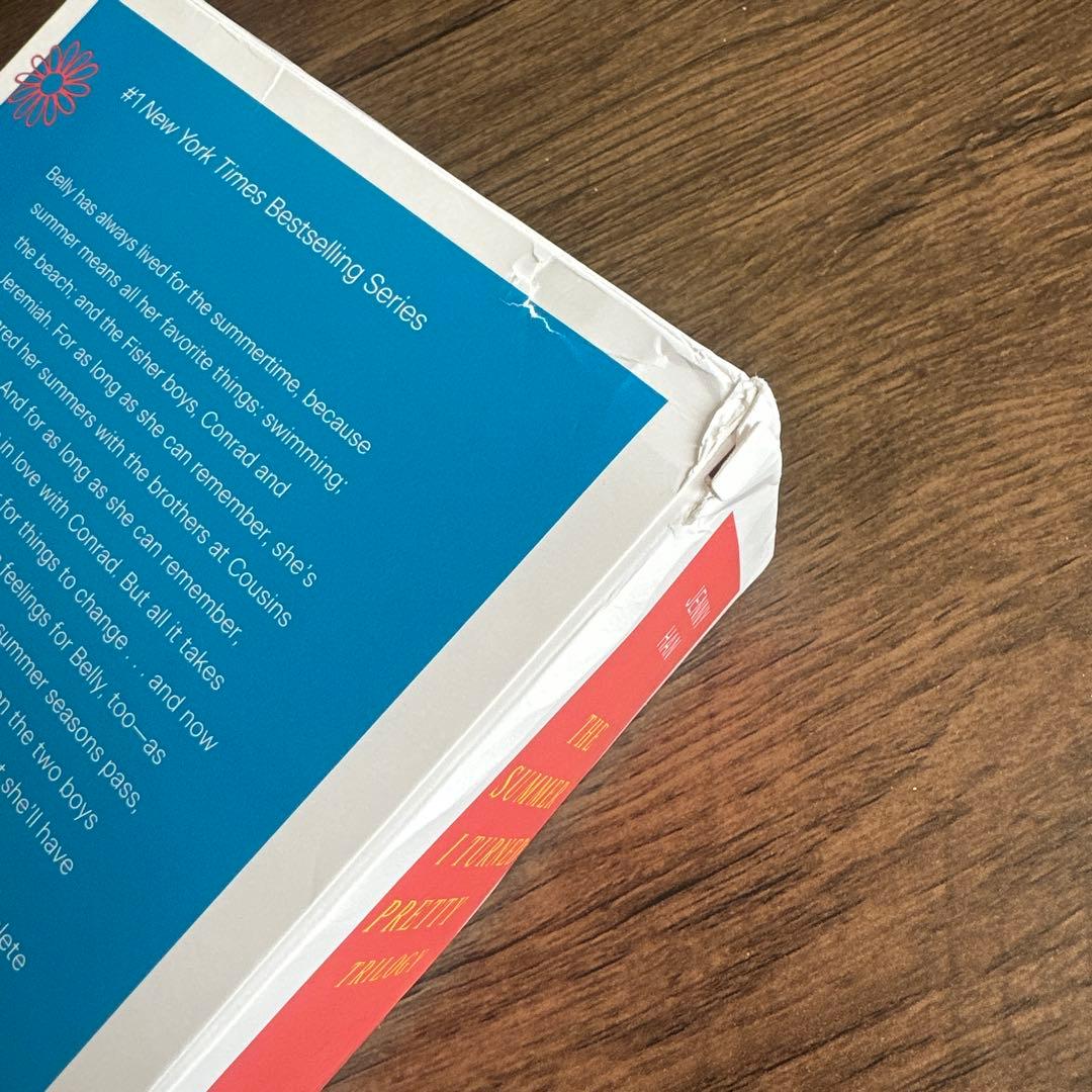 私たちの青い夏The Summer I Turned Pretty