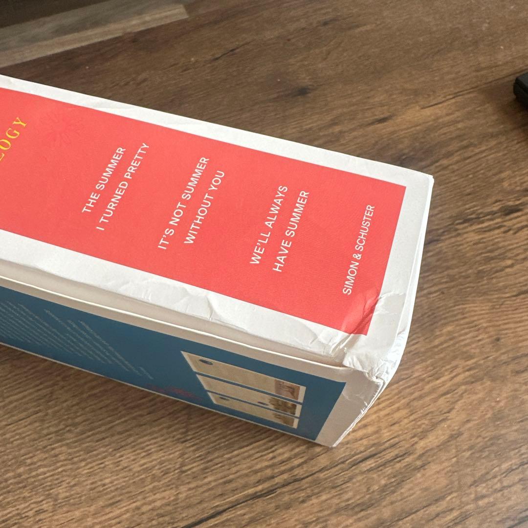 私たちの青い夏The Summer I Turned Pretty