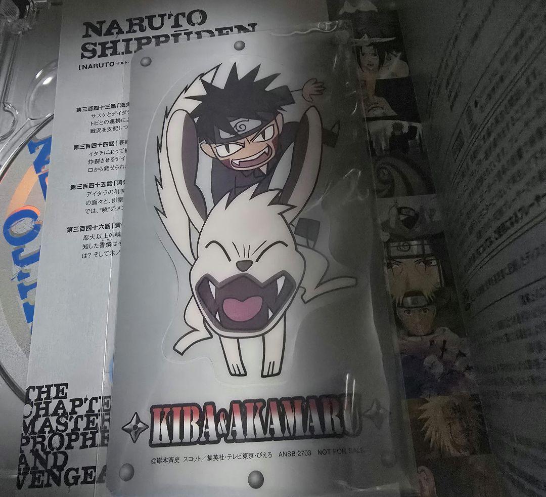 NARUTO疾風伝 DVD BOX　ナルト