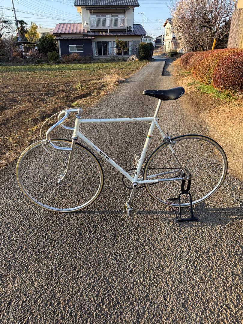 NJS 片倉シルク ピスト完成車54 SANSHIN NITTO SUGINO
