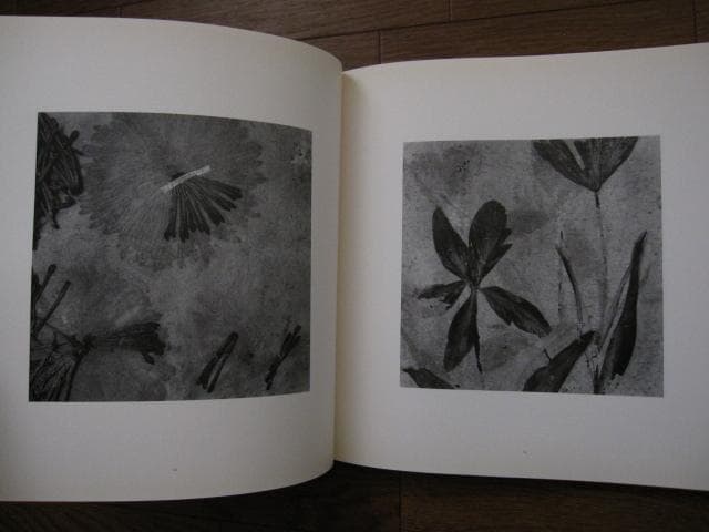 Paul Den Hollander　限定1300部