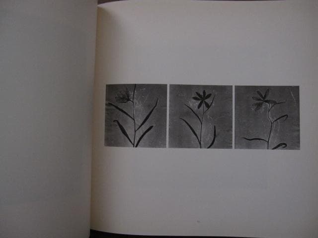 Paul Den Hollander　限定1300部