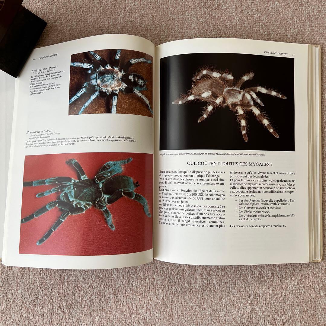 洋書　GUIDE DES MYGALES タランチュラなど
